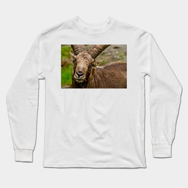 Ibex Long Sleeve T-Shirt by jaydee1400